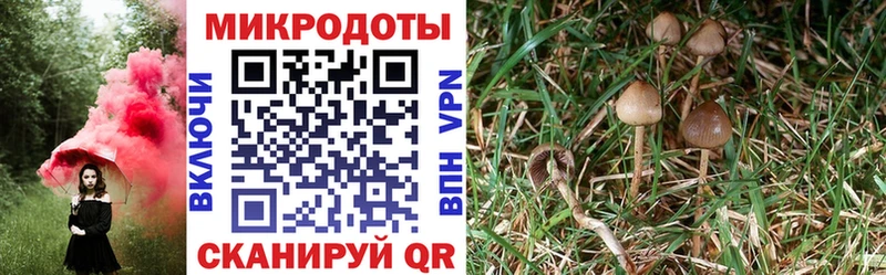 Псилоцибиновые грибы мухоморы Купить закладки Биробиджан